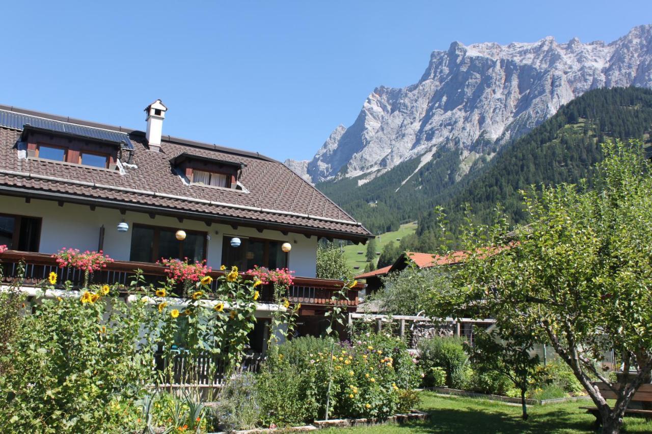 شقة Haus Alpenblume ايروالد المظهر الخارجي الصورة