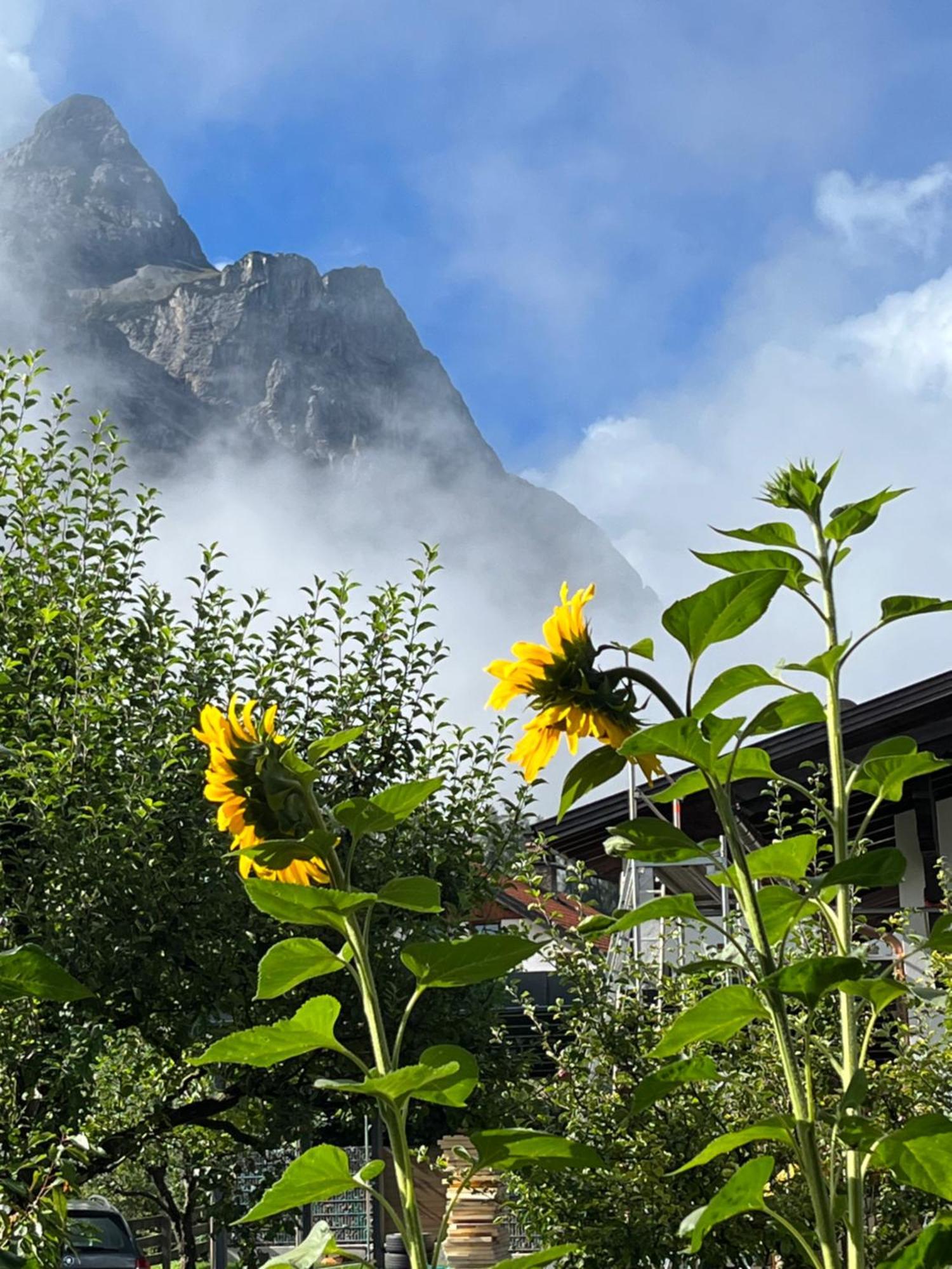 شقة Haus Alpenblume ايروالد المظهر الخارجي الصورة
