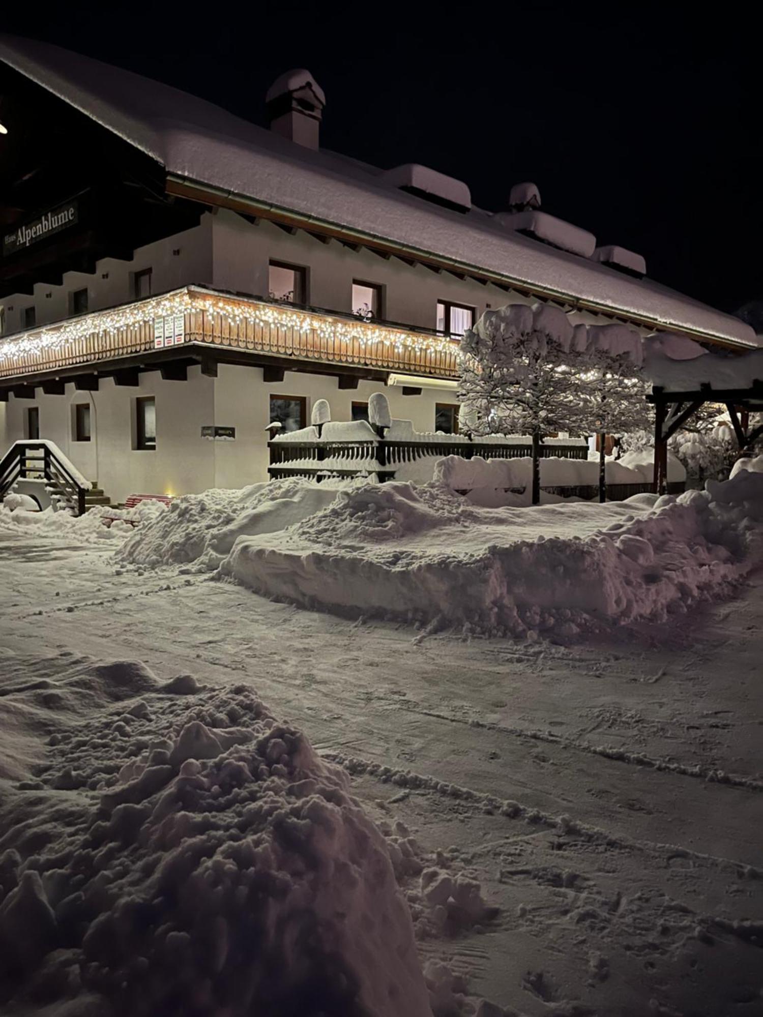 شقة Haus Alpenblume ايروالد المظهر الخارجي الصورة